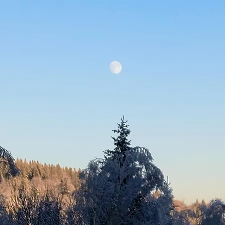 Apartament Wytchnienie